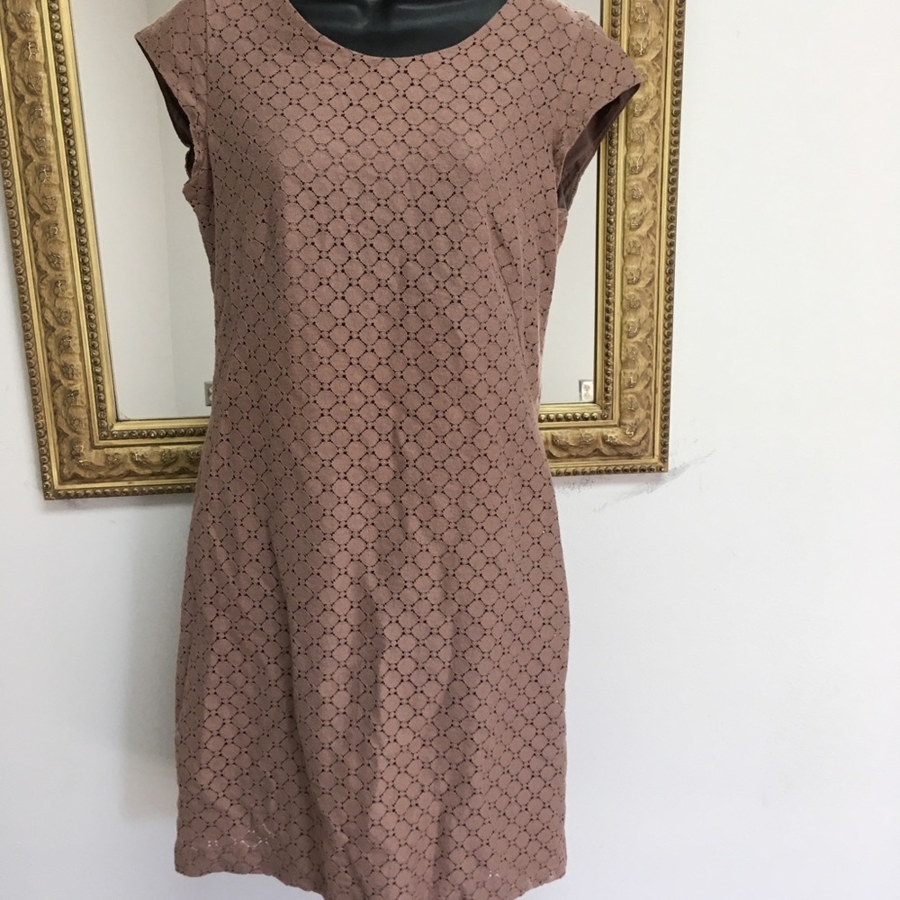 The Limited Toupe mauve tan  lace dress S 4/6